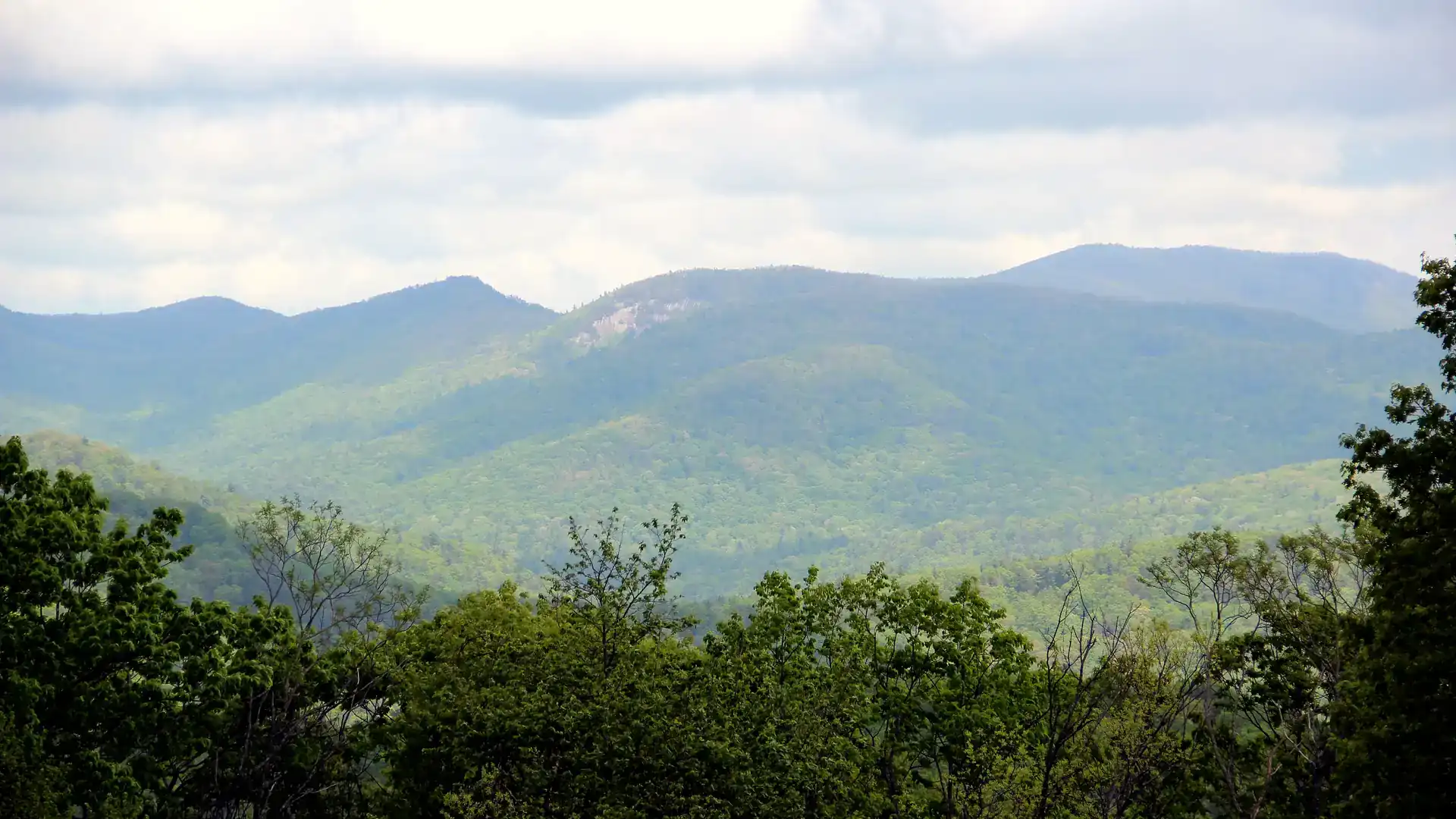 Spring-green forested mountain ridges with a pale rock face on the central peak, seen over treetops under a cloudy sky.