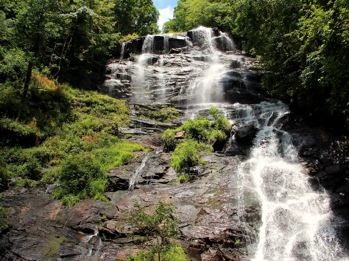 Amicalola Falls spilling in white streams down dark layered rock, surrounded by green summer forest.